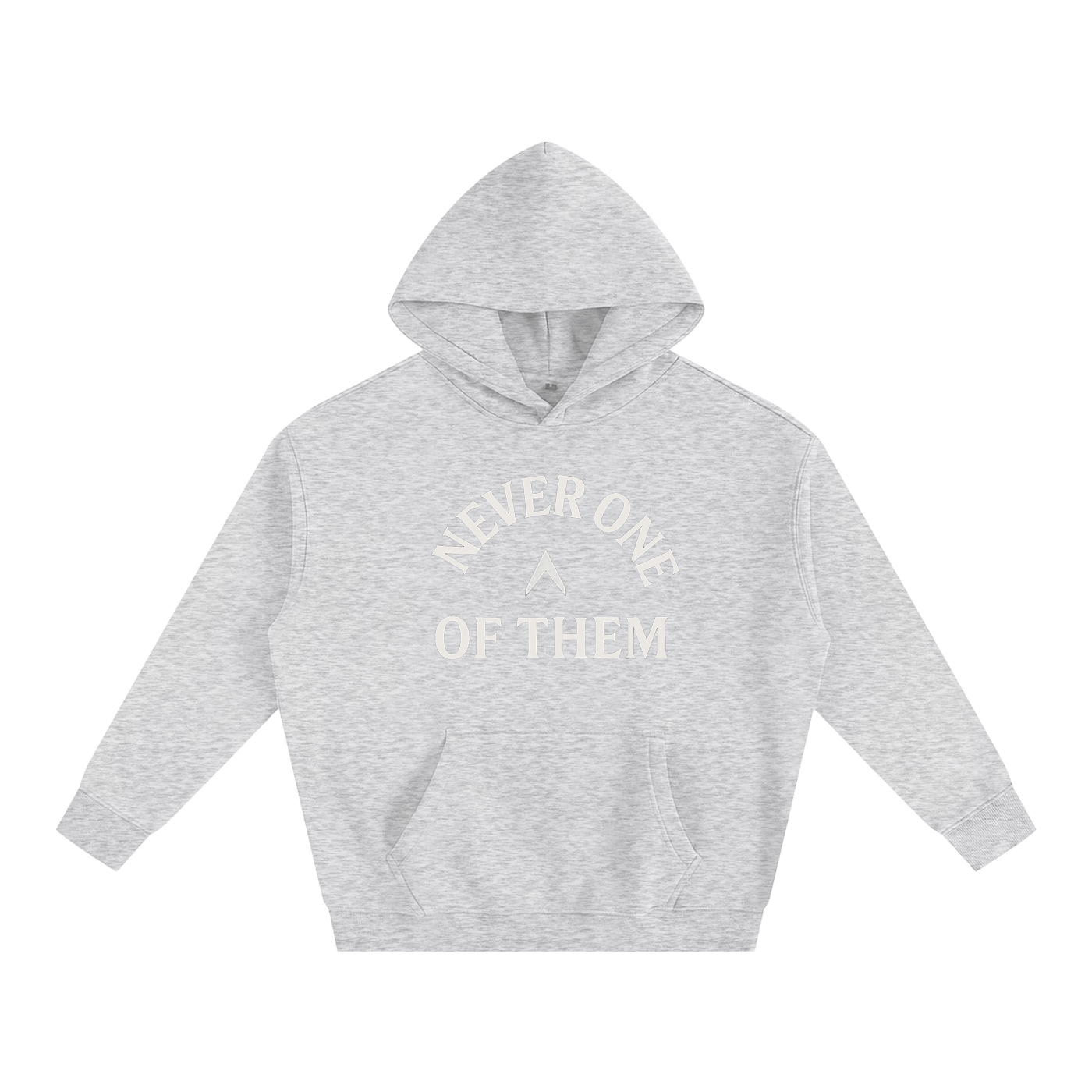 NEVER ONE OF THEM HOODIE (GRAY)