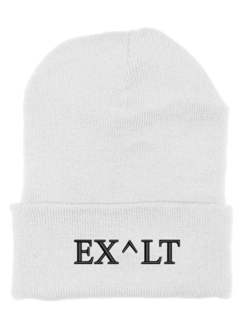 EXALT BEANIE (WHITE/BLACK)