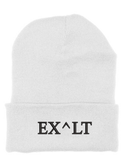 EXALT BEANIE (WHITE/BLACK)
